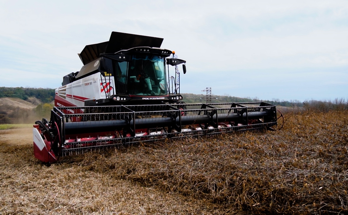 Фото: РБК Черноземье