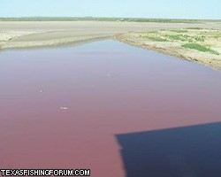 В Техасе появилось "кровавое" озеро: фанатики ждут конца света