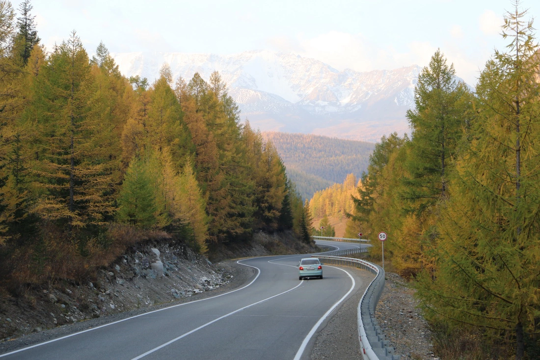 altai-republic.ru