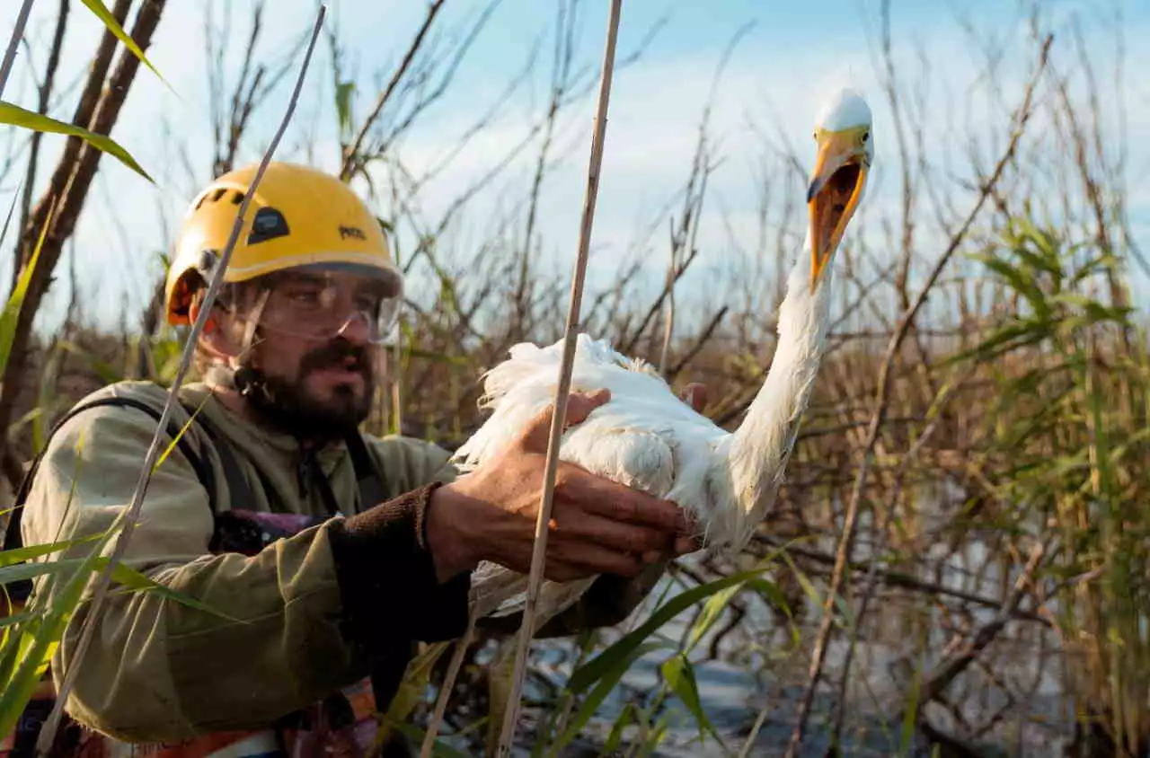Пресс-служба «Северстали» 