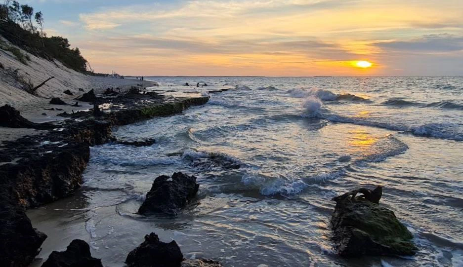 телеграм-канал "Куршская коса"