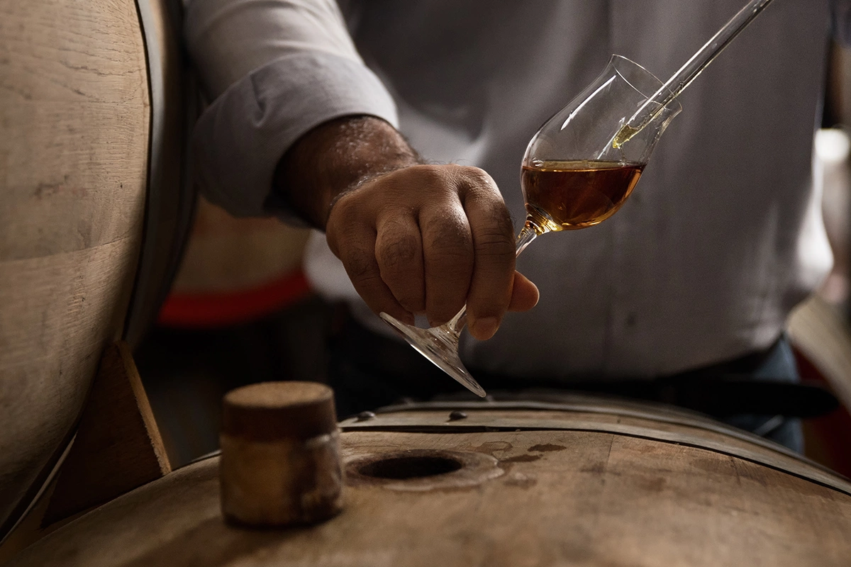 Коньяк — это самый большой отдельно взятый виноградник в мире, площадью 83 тыс. га