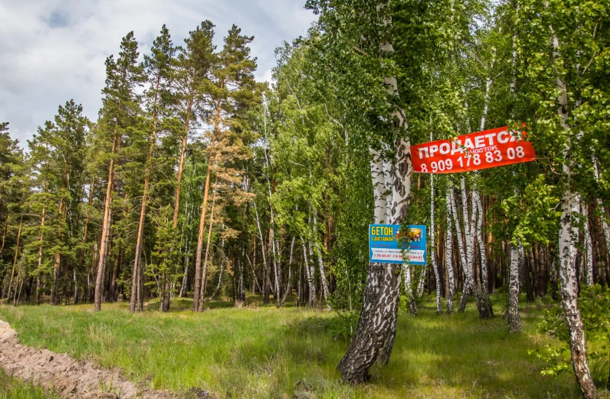 Игорь Меркулов / URA.RU