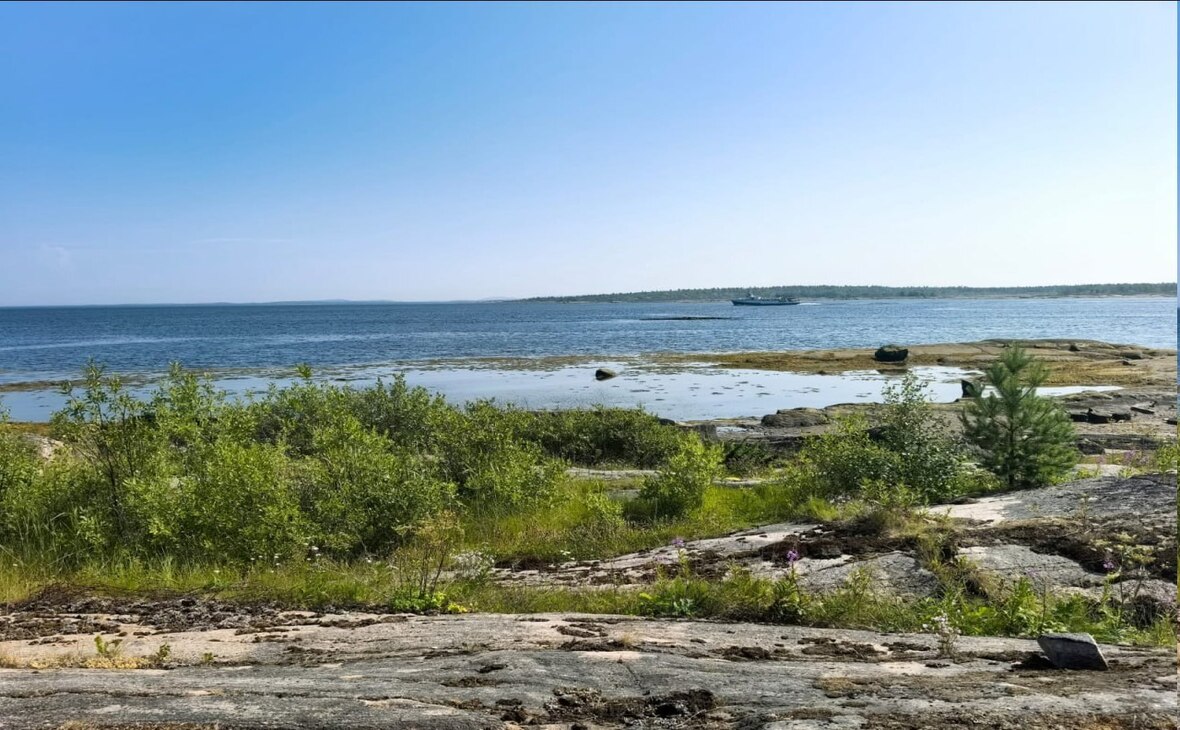 Фото: Артур Парфенчиков/ t.me 