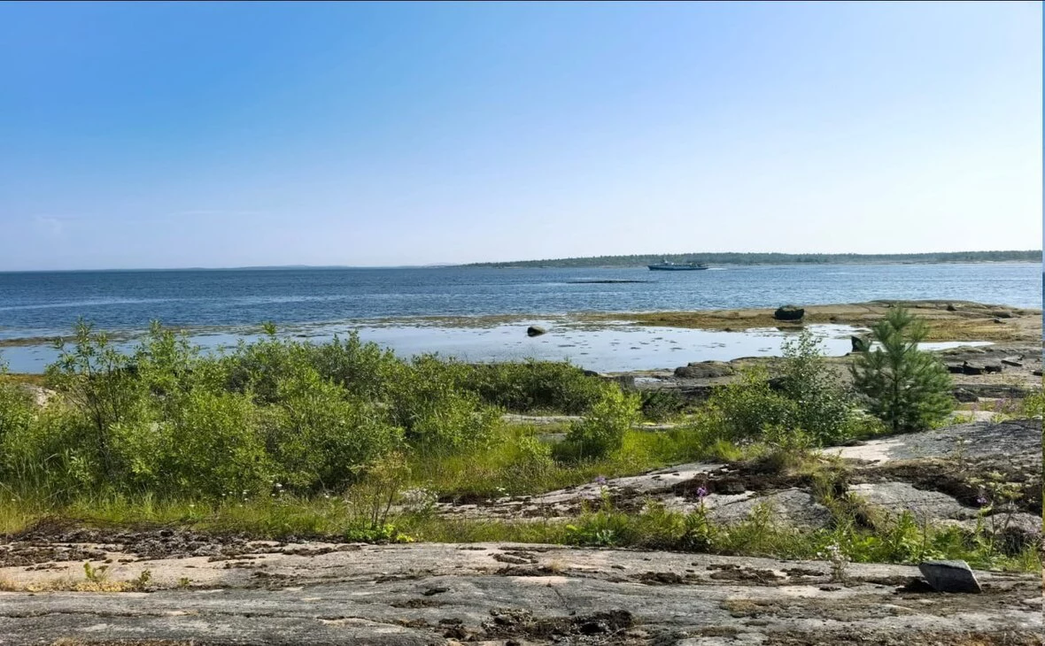 Артур Парфенчиков/ t.me 