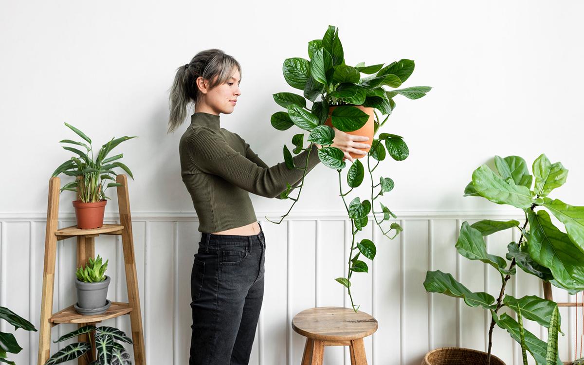 Растения дают глубину, воздух, мягкость и создают энергию, которую невозможно получить искусственными предметами