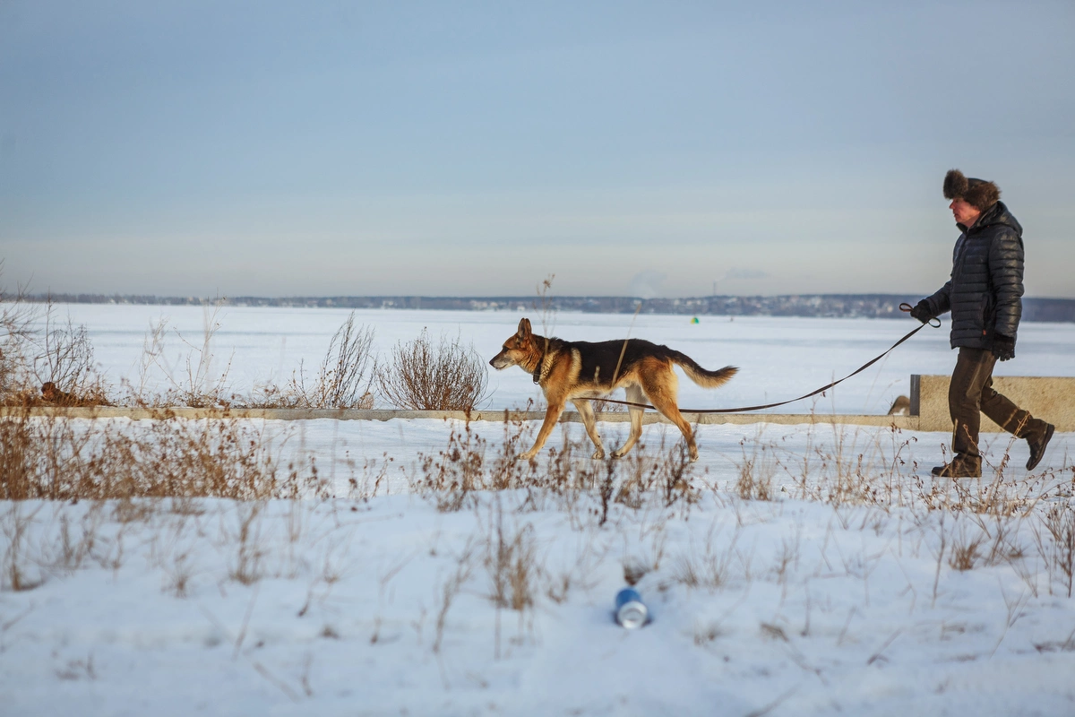 Антон Буценко, 66.RU