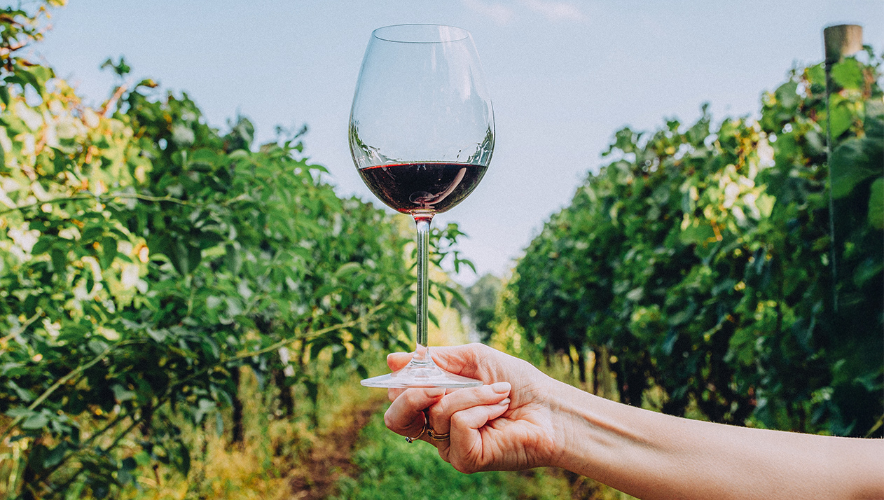 «Время вина» на Радио РБК: Почему вина, созданные женщинами, другие?