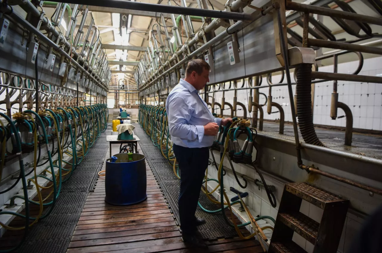 Ольга Гениевская