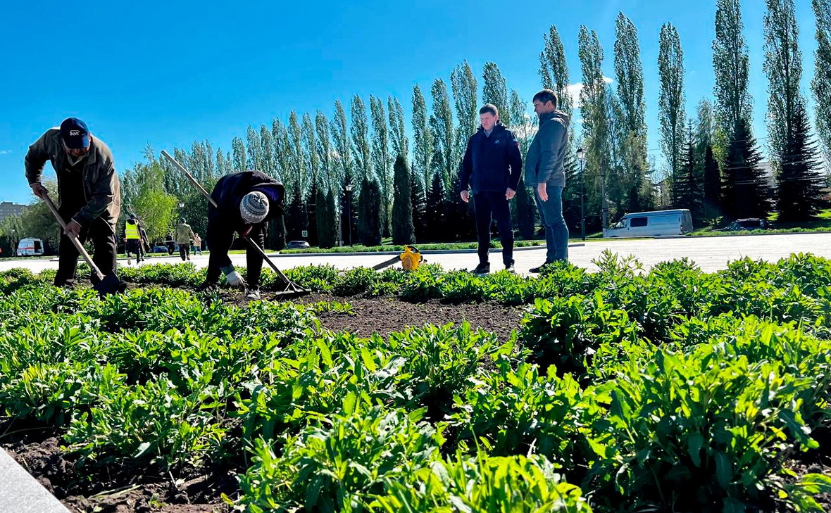 AleksandrVolodkoPrirodaKursk / Telegram