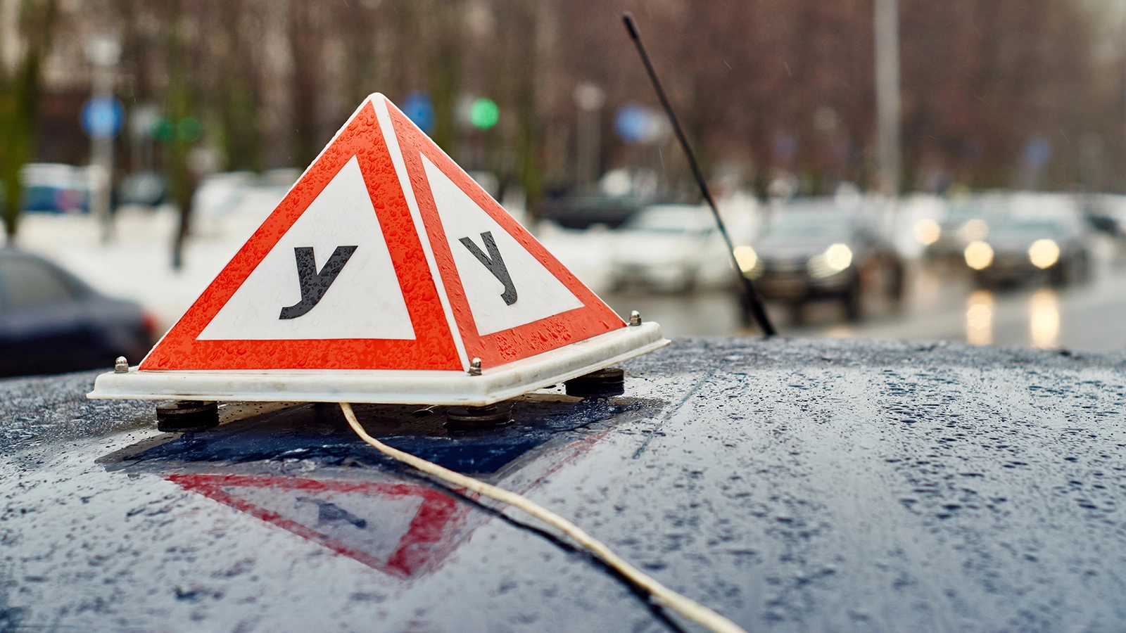 Мошенники начали использовать новую схему с автошколами