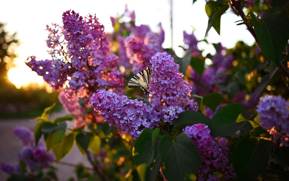 Фото: Shutterstock