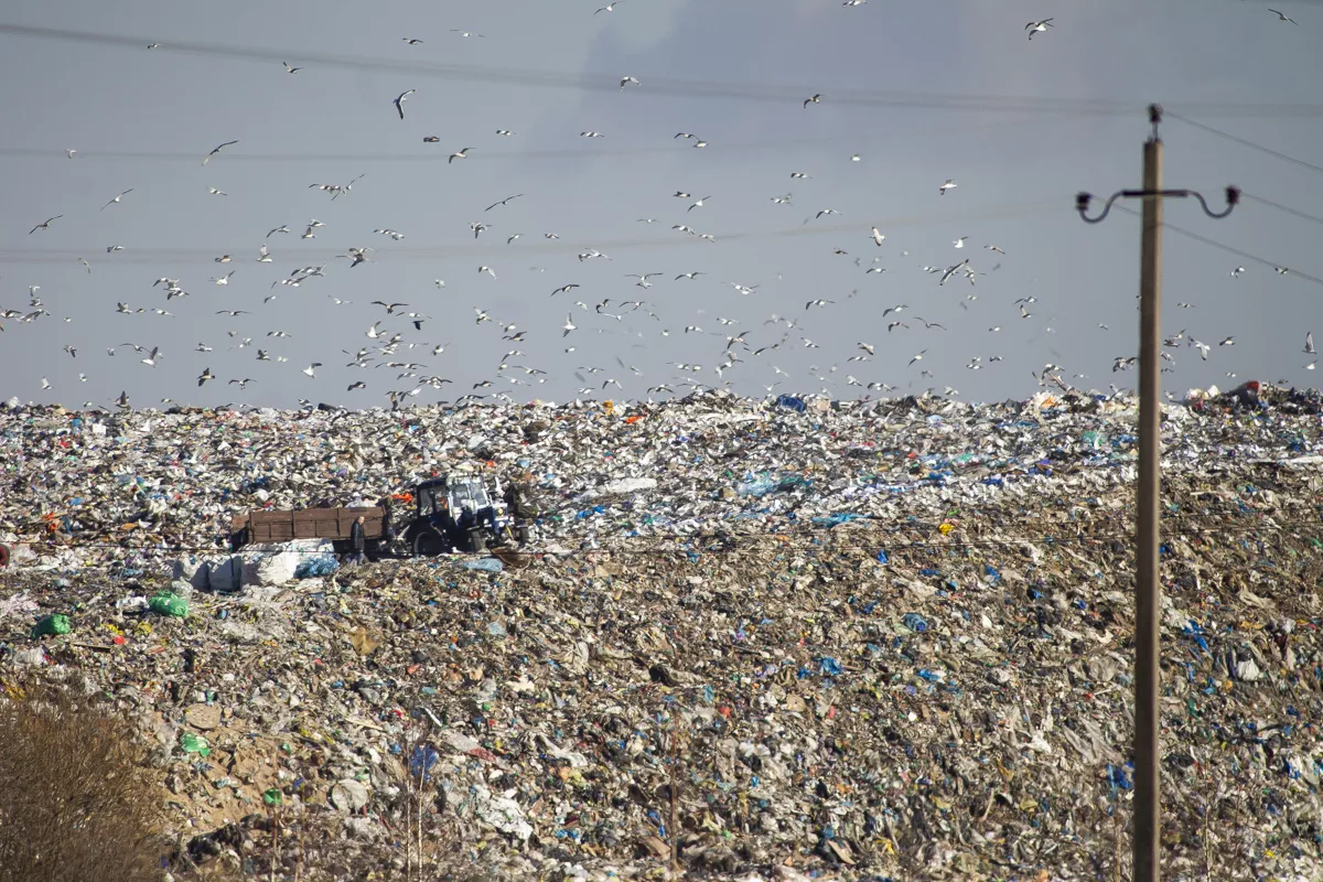 Александр Подгорчук