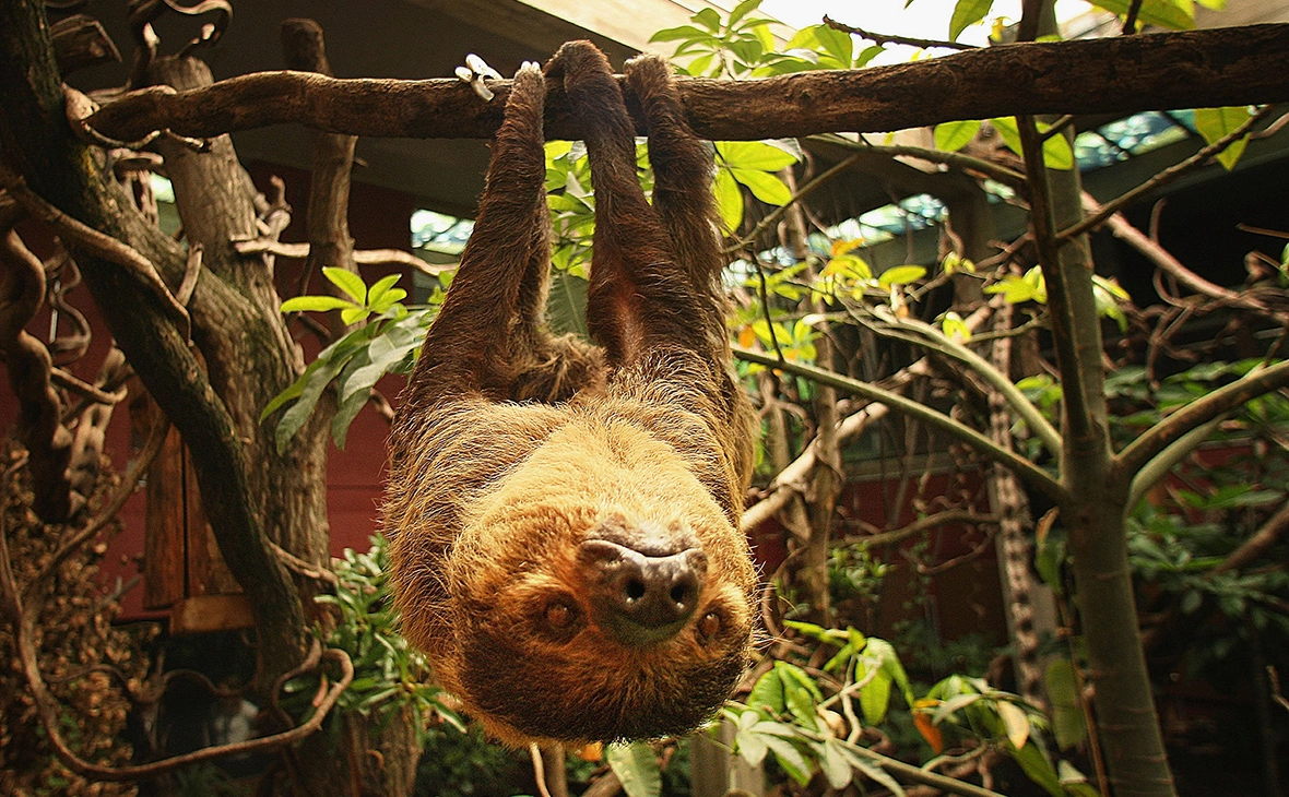  Peter Macdiarmid / Getty Images