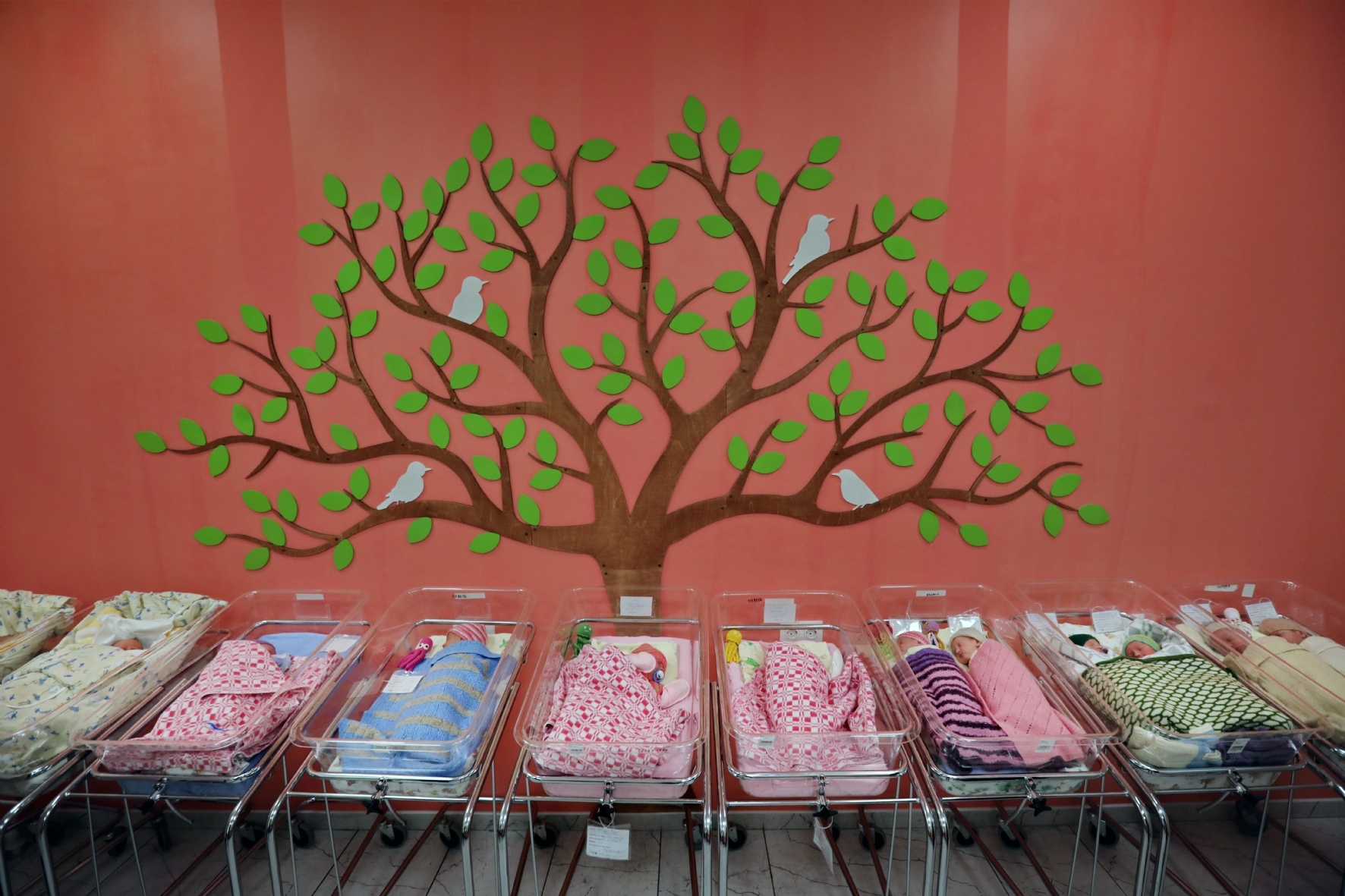 Фото: Холявчук Светлана/PhotoXPress.ru