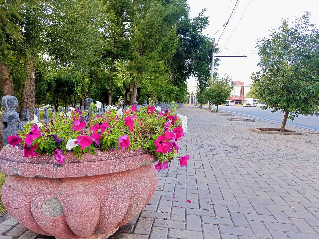Алексей Коваленок / РБК Новосибирск