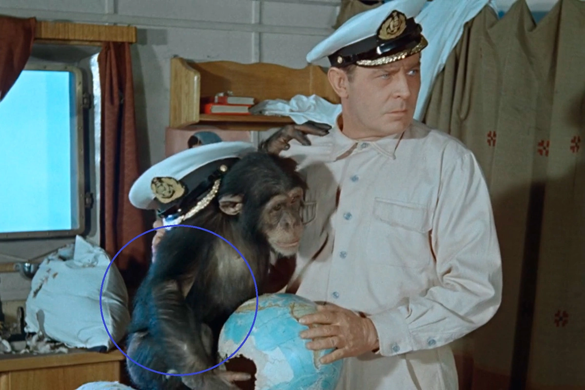 Тельняшка внезапно исчезла в эпизоде в каюте старпома, кадр из фильма «Полосатый рейс»