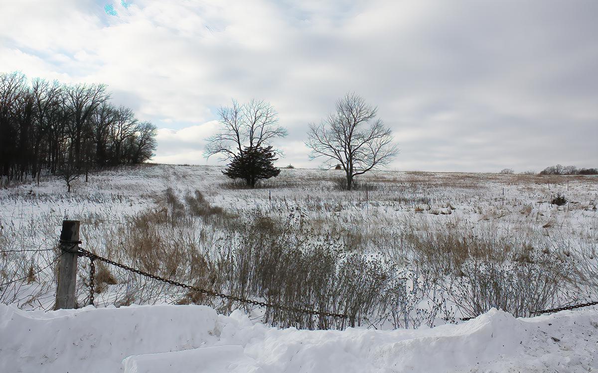 Фото: Linda McKusick / Shutterstock / FOTODOM