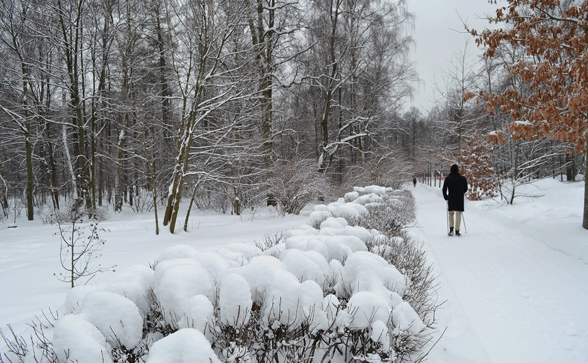 Yuliaphoto / Shutterstock  