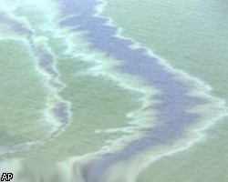 В Азовском море образовались полукилометровые нефтяные пятна