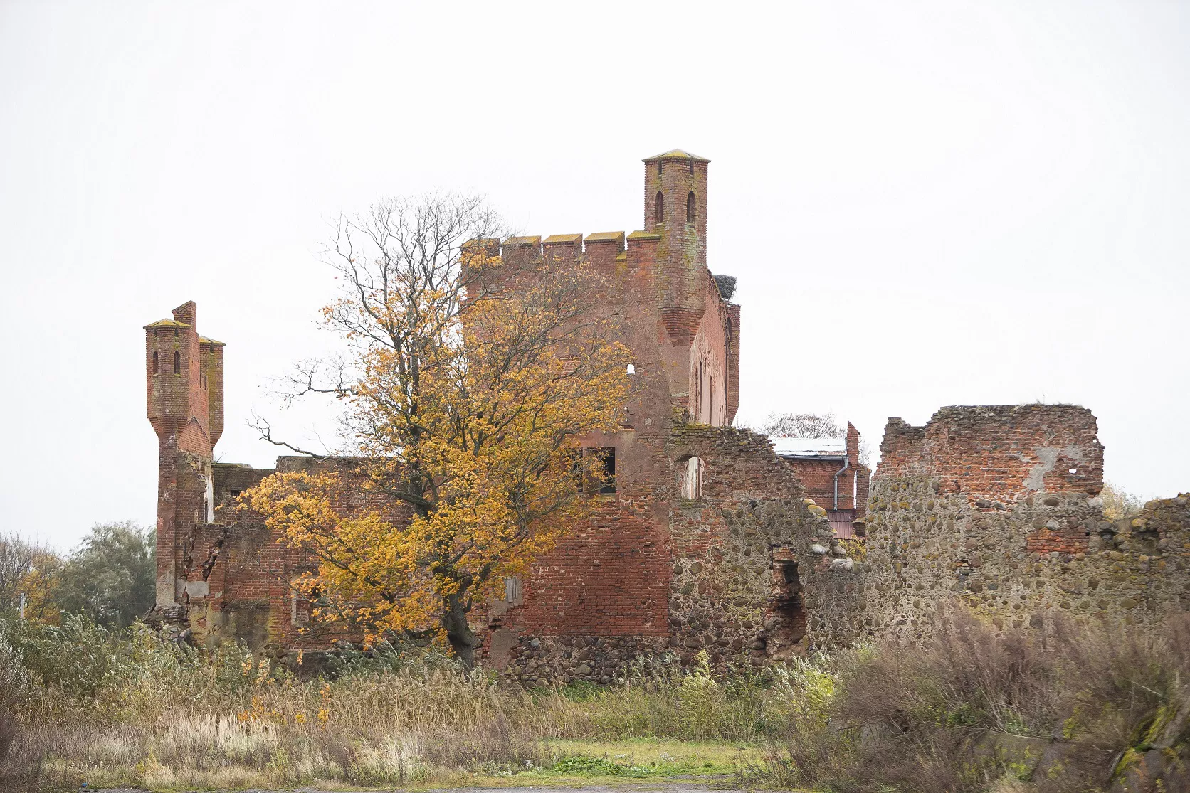 Александр Подгорчук