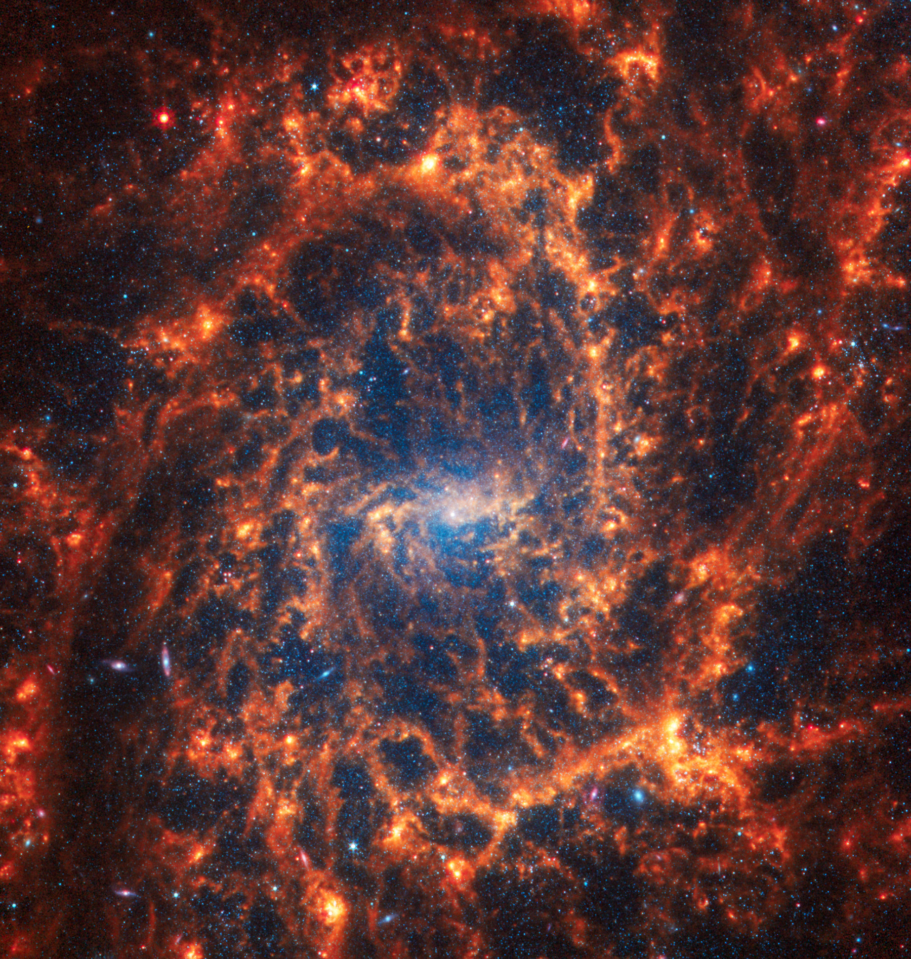 Галактика NGC 2835 в созвездии Гидра. Расстояние от Земли&nbsp;&mdash; 35 млн световых лет
