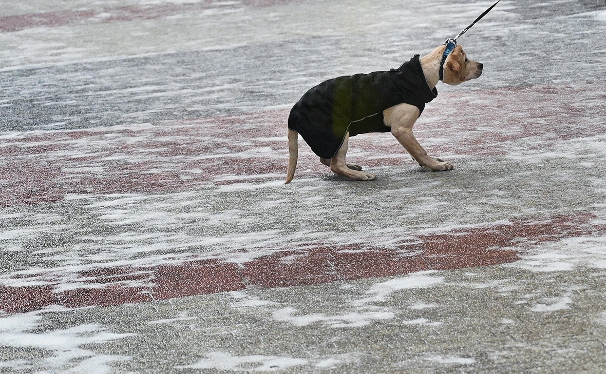 Рамиль Ситдиков / РИА Новости