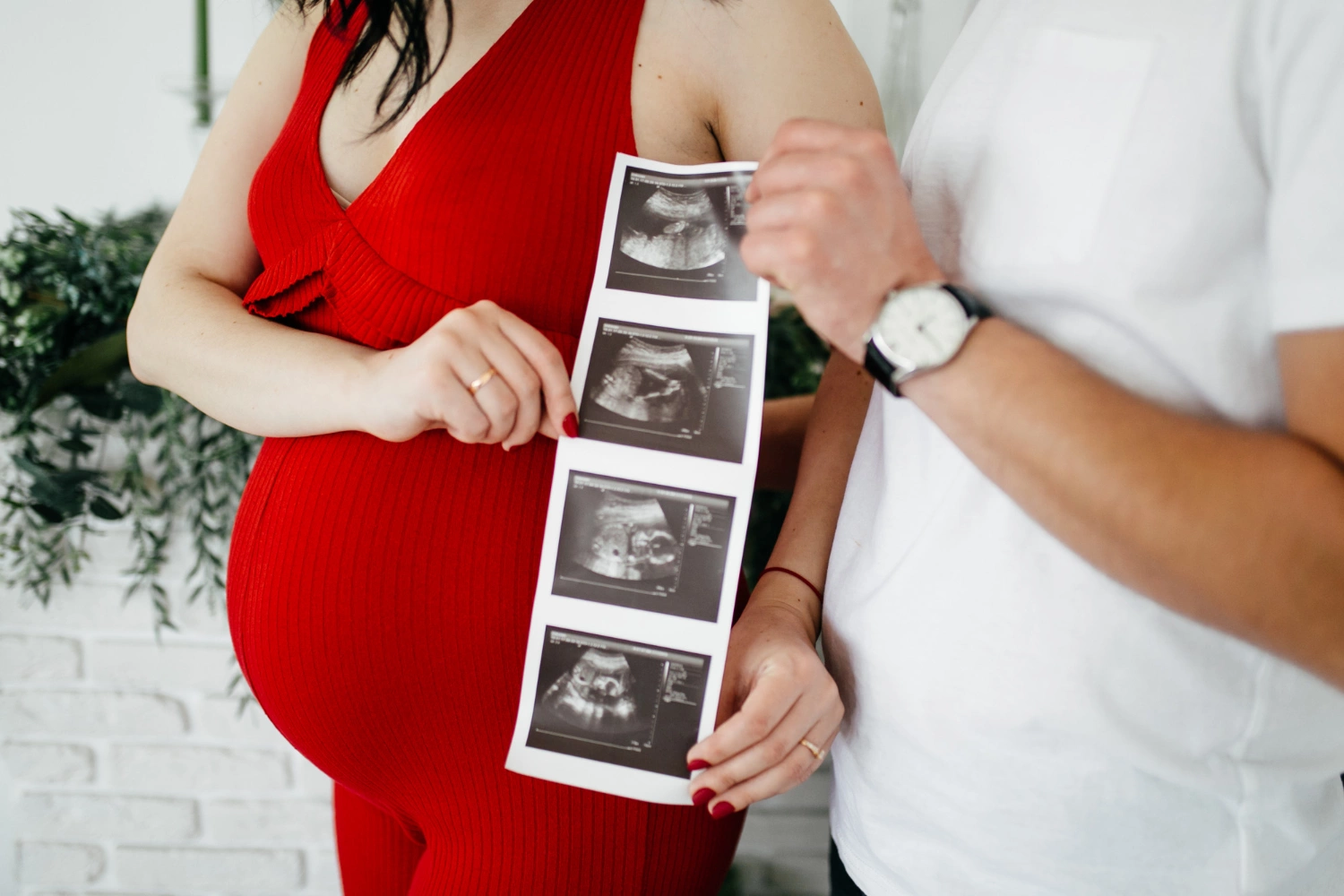 Изображение от bristekjegor на Freepik