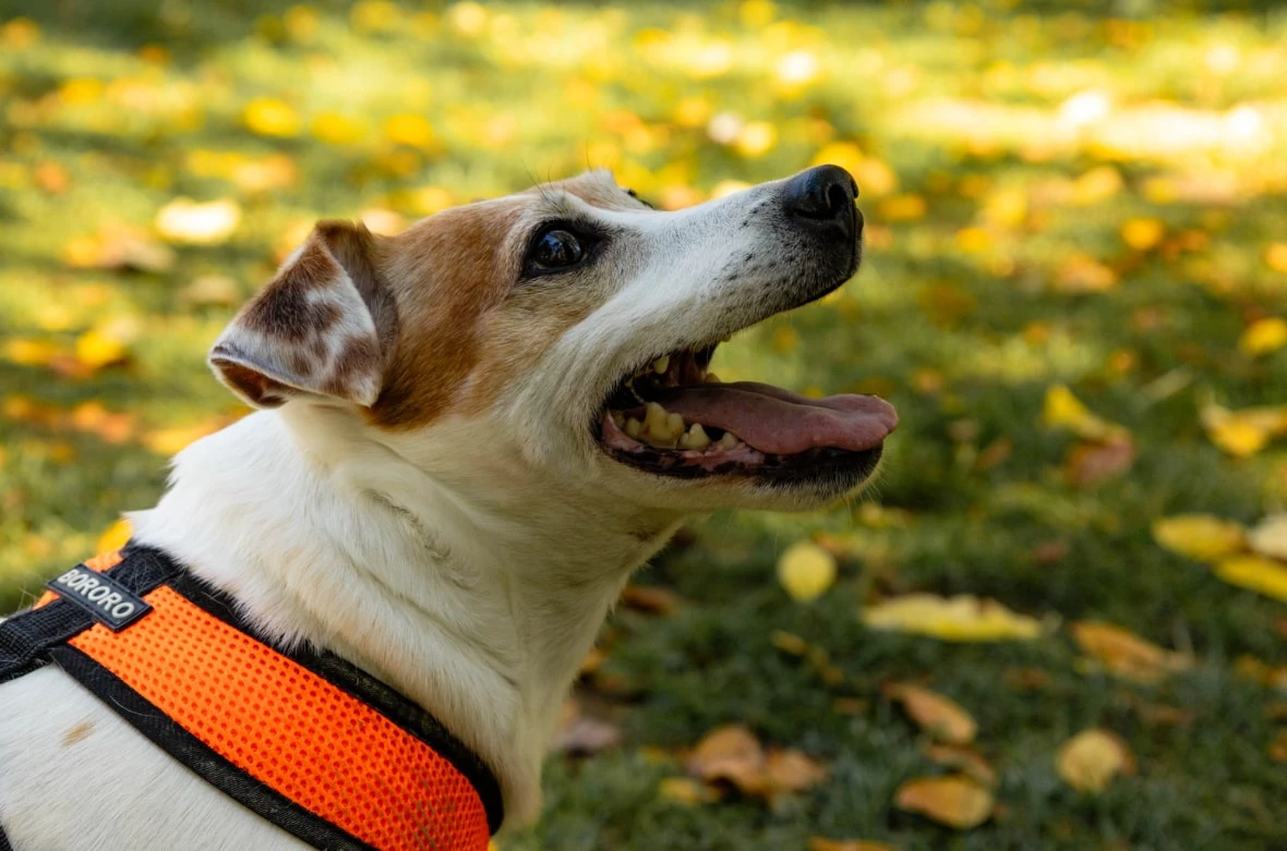 Анастасия Соргина / РИА URA.RU