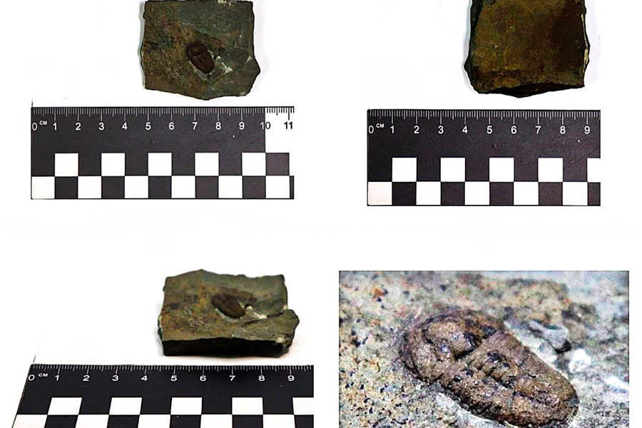 Фото: Федеральная таможенная служба России