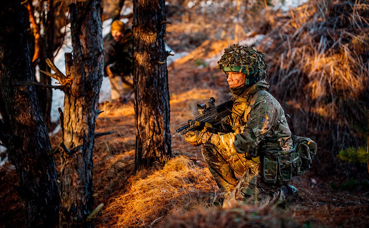 PRESSLAB / Shutterstock