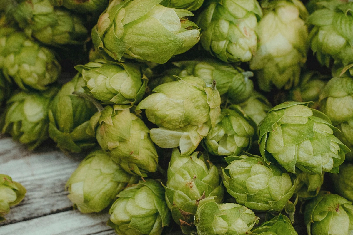 В августе Федеральное статистическое ведомство Германии сообщало о том, что продажи пива в стране сократились до минимума с 1993 года