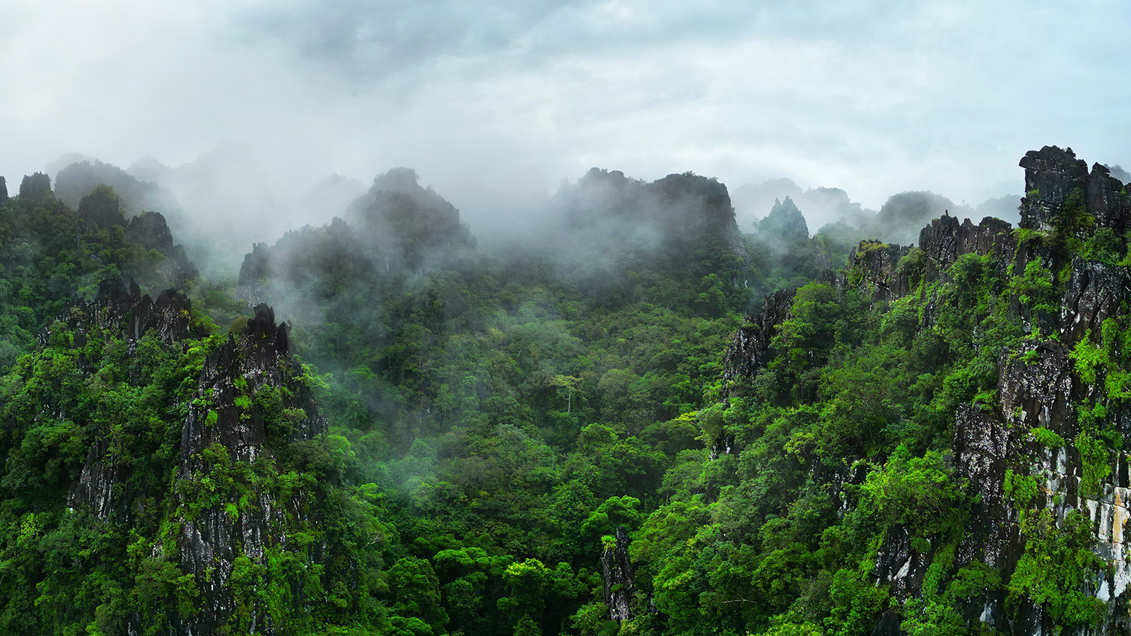 Джунгли Лаоса