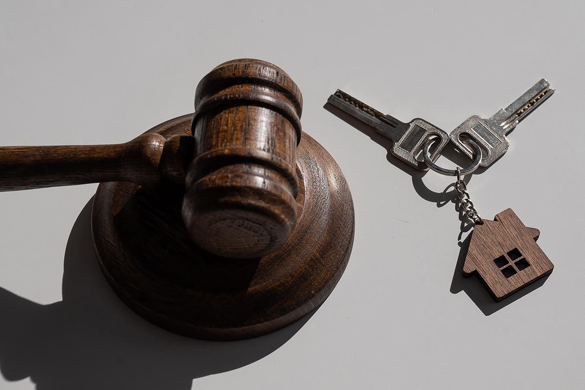 Фото: Reshetnikov_art / Shutterstock / FOTODOM