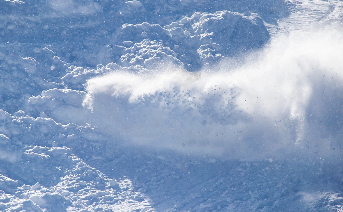 schankz / Shutterstock