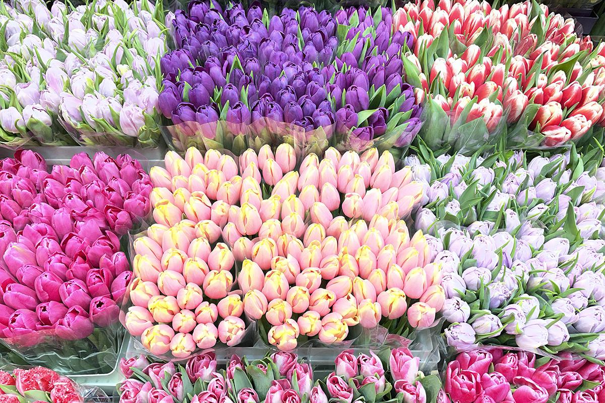 Продажа цветов на Рижском рынке в Москве в преддверии Международного женского дня, 06 марта