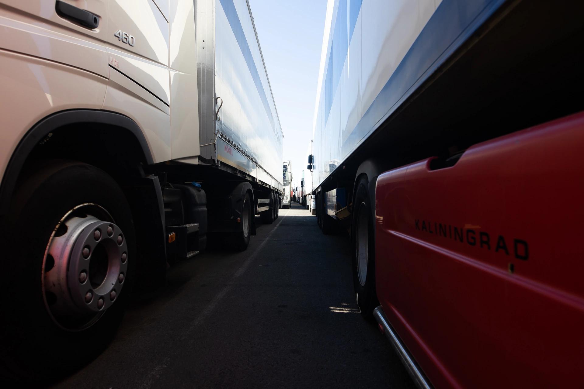 Александр Подгорчук