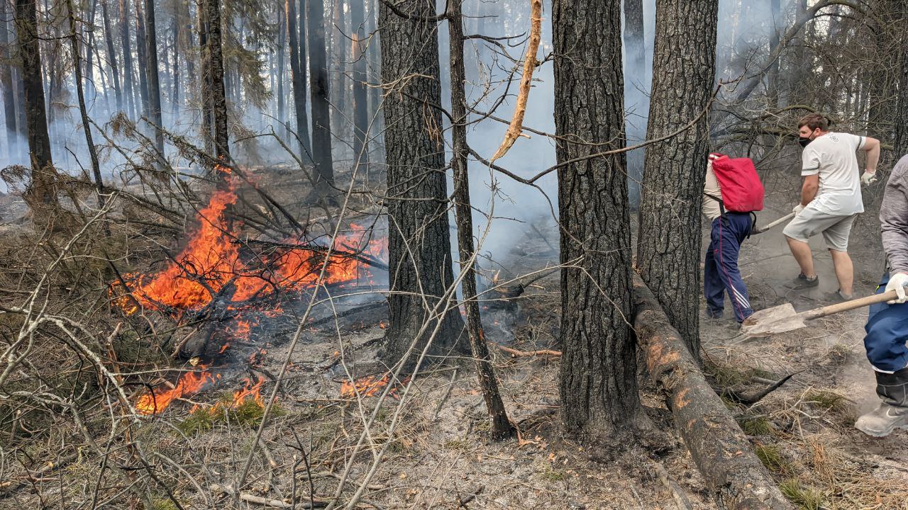 В Тюменской области стабилизировалась обстановка с природными пожарами.