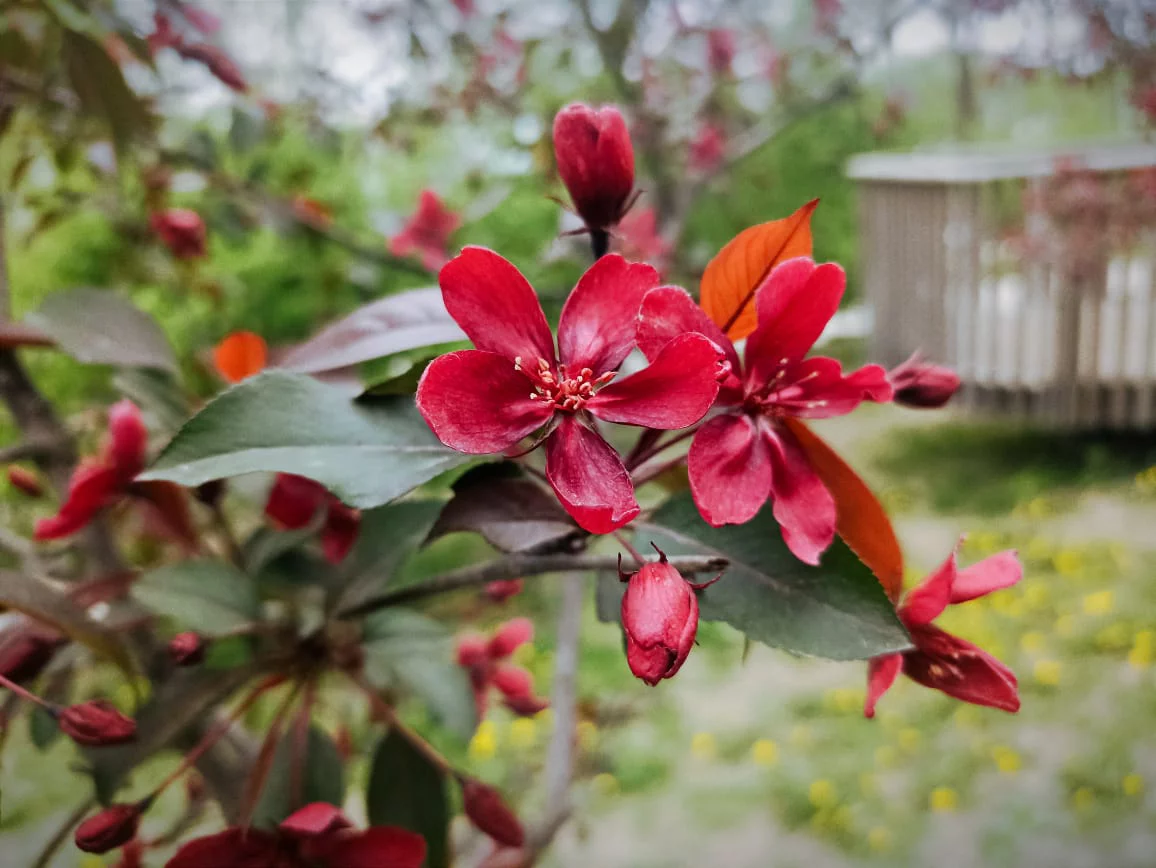 РБК Приморье