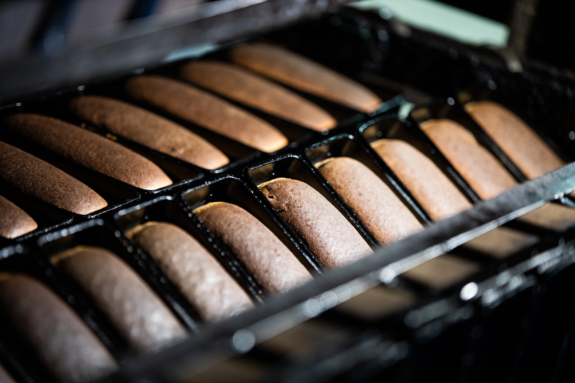 Александр Подгорчук