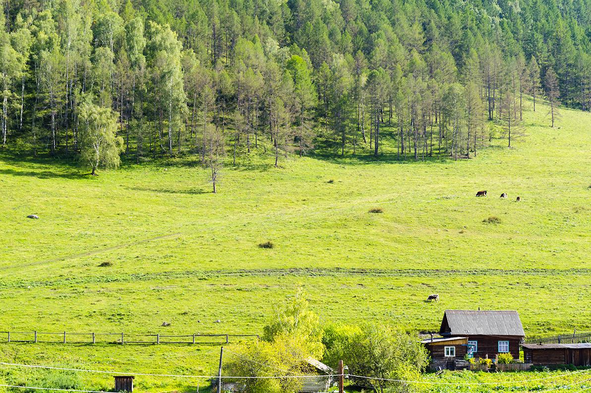 Фото: Dmitry Sedakov foto / Shutterstock / FOTODOM