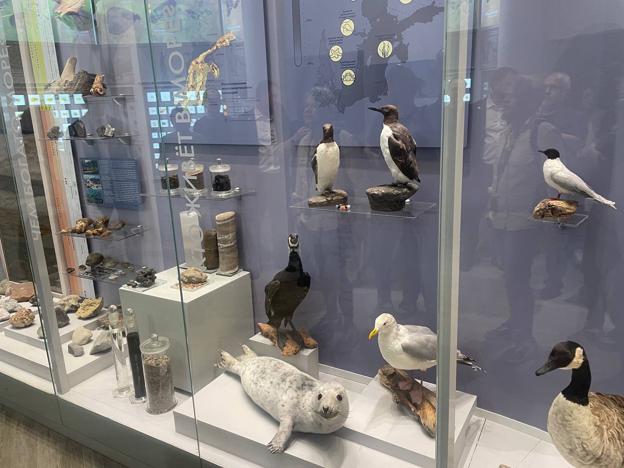 Фото: Марина Маркевич