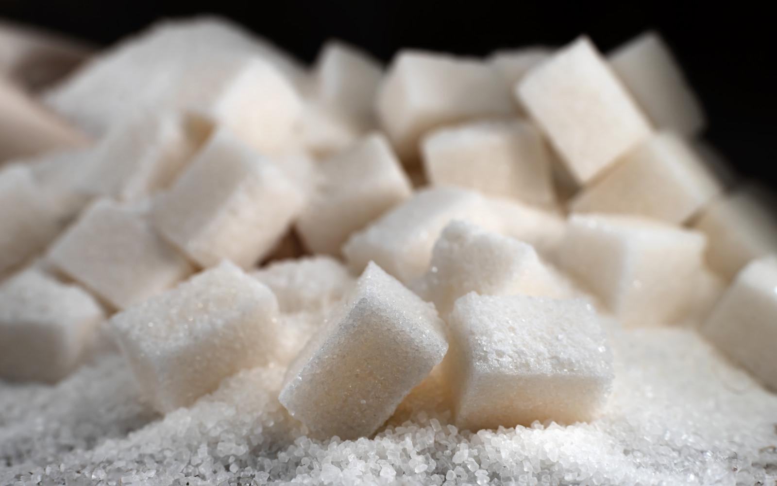 Фото: Shutterstock