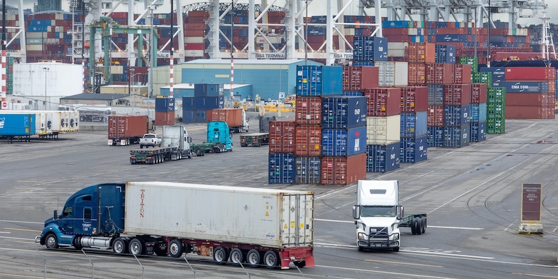 Фото: Shutterstock