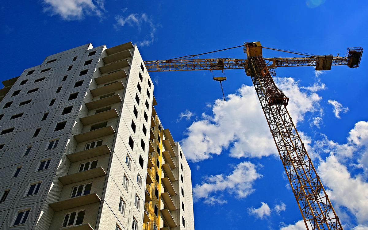 Фото: alleks19760526 / Shutterstock / FOTODOM