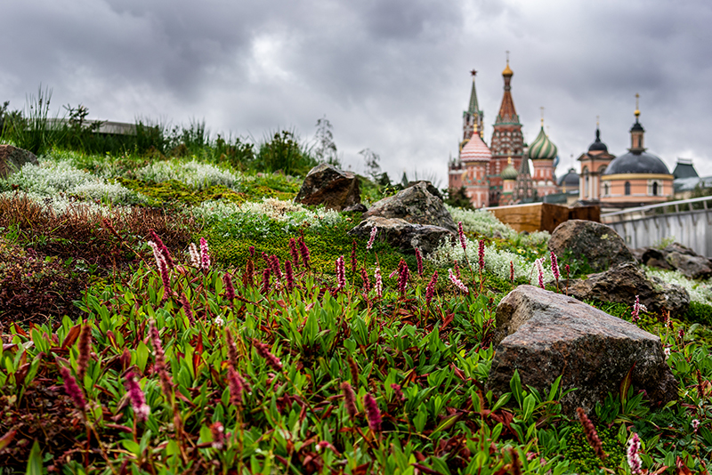 Фото: пресс-служба