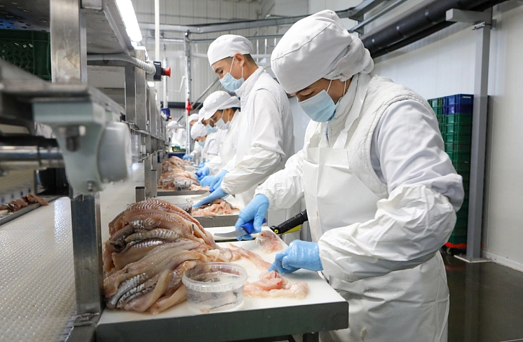 Правительство Приморского края