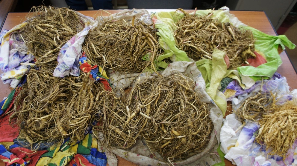 Дальневосточная таможня