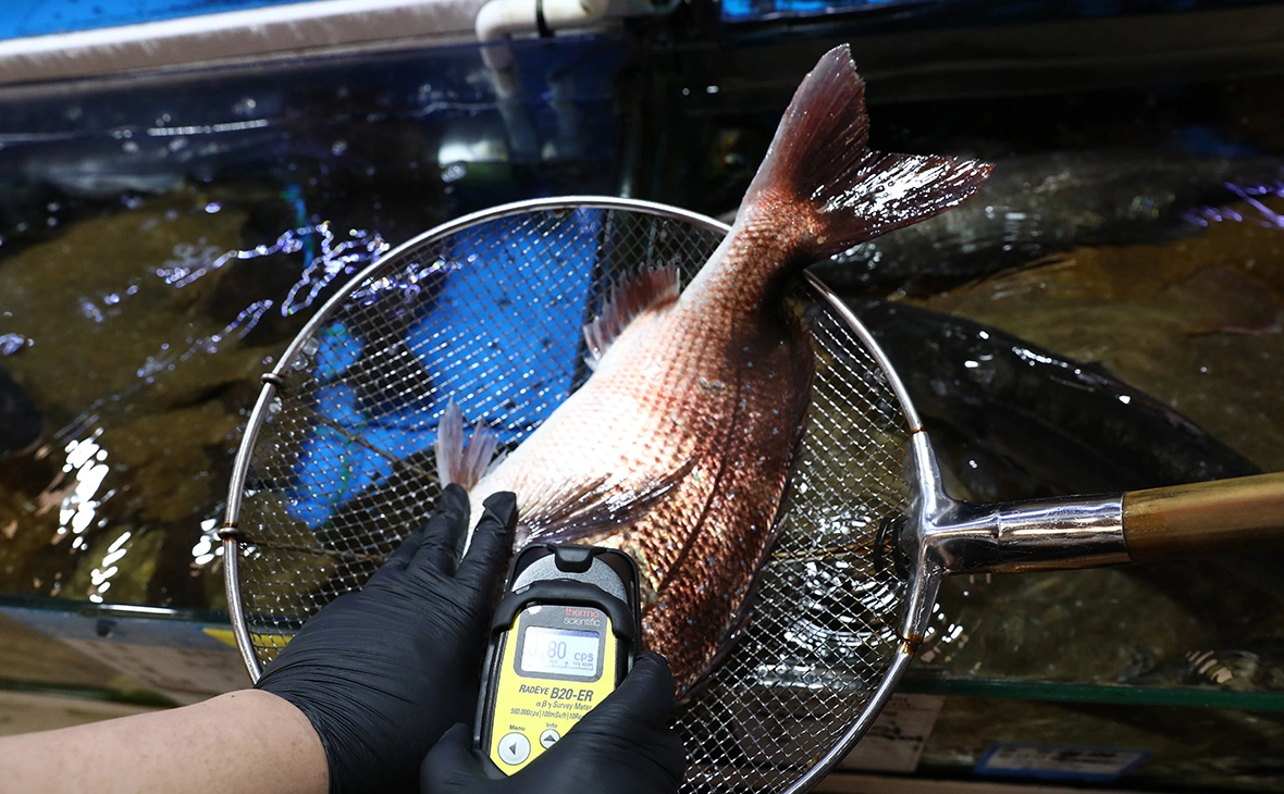 Chung Sung-Jun / Getty Images