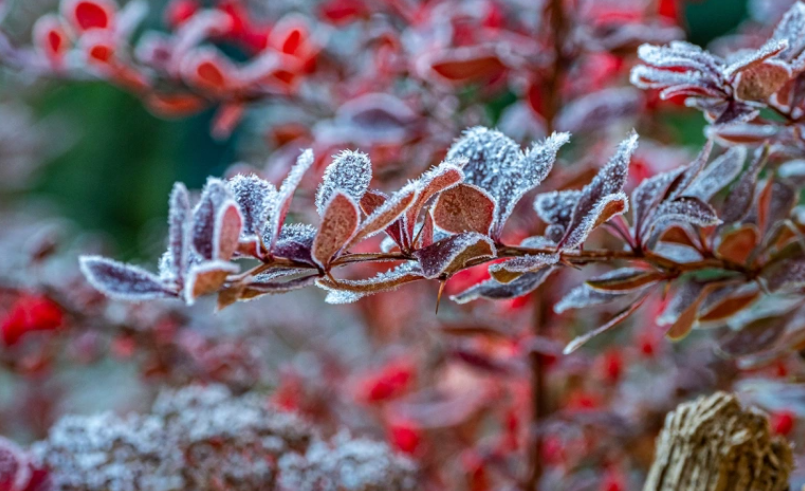 Константин Кокошкин / Global look Press